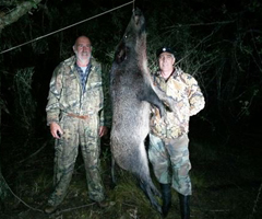 De caza en Uruguay: Espera de chancho o jabalí